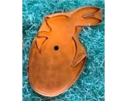Giant-Bunny-Copper-Cookie-Cutter