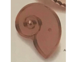 Giant-Nautilus-Copper-Cookie-Cutter