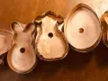 backed spring peep set copper cookiecutters