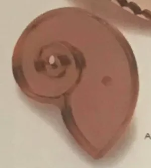 giant nautilus copper cookie cutter giant nautilus copper cookie cutter